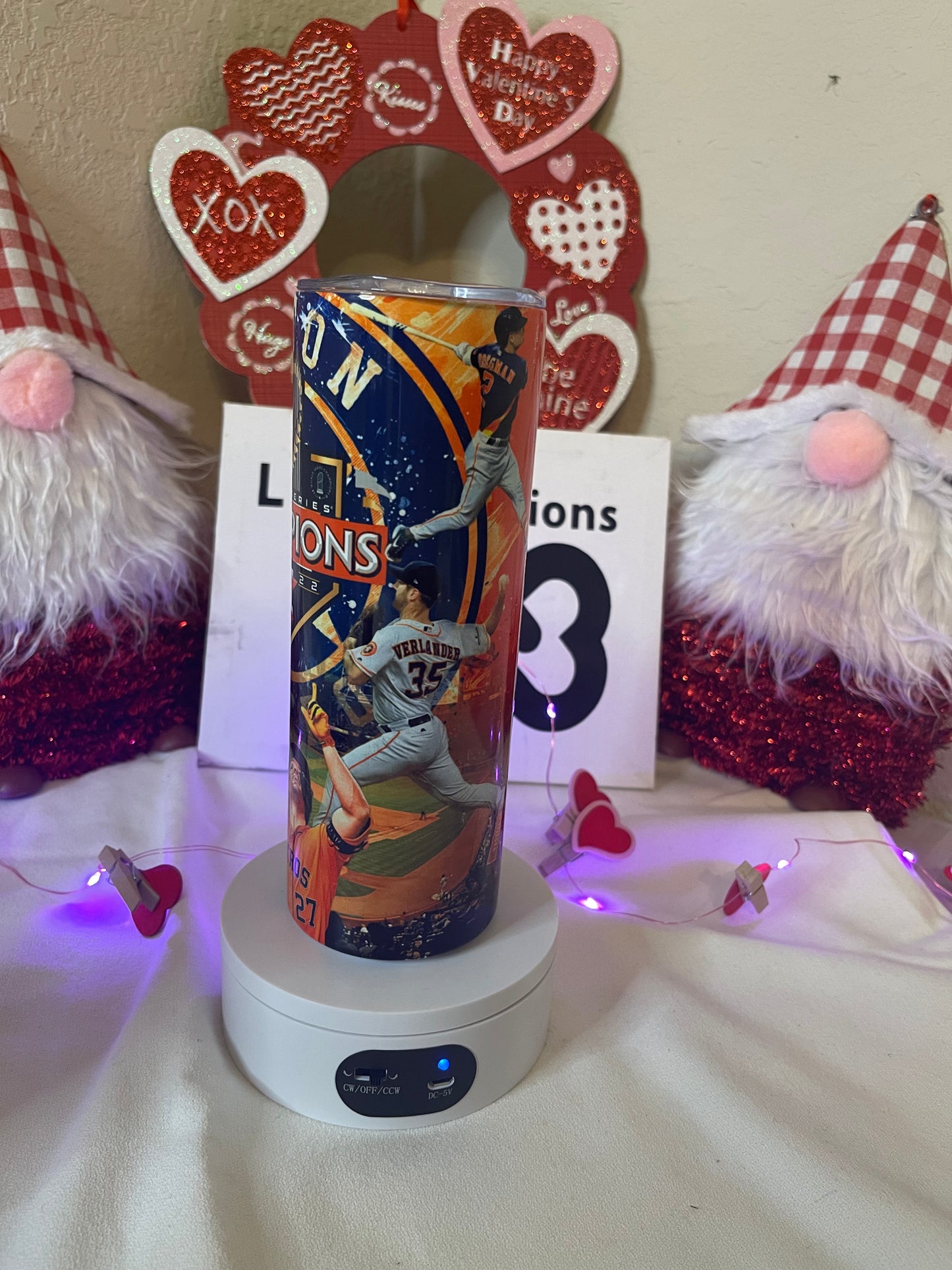 Houston Astros 20oz Skinny Tumbler